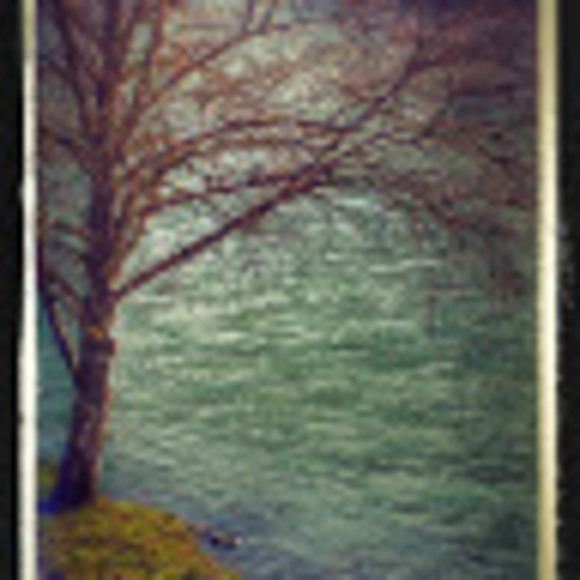 Meet your Posher, Teri - Picture 1 of 1